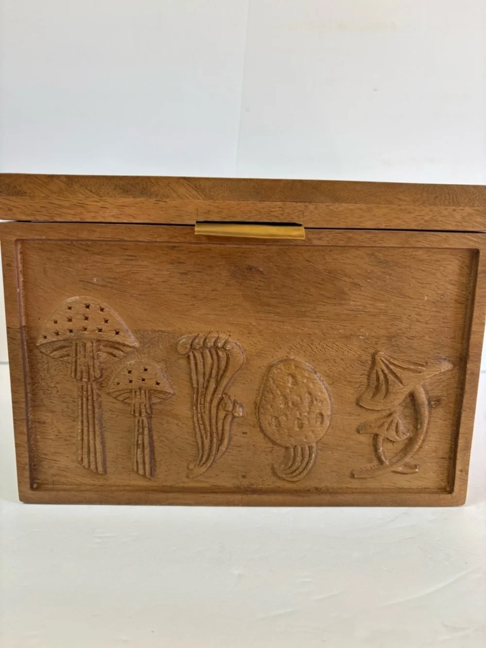 NWT Anthropologie Terrain Mushroom Seed Storage Box